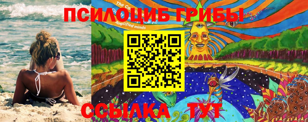 где продают   Вход с VPN  Улан-Удэ  Галлюциногенные грибы GOLDEN TEACHER 